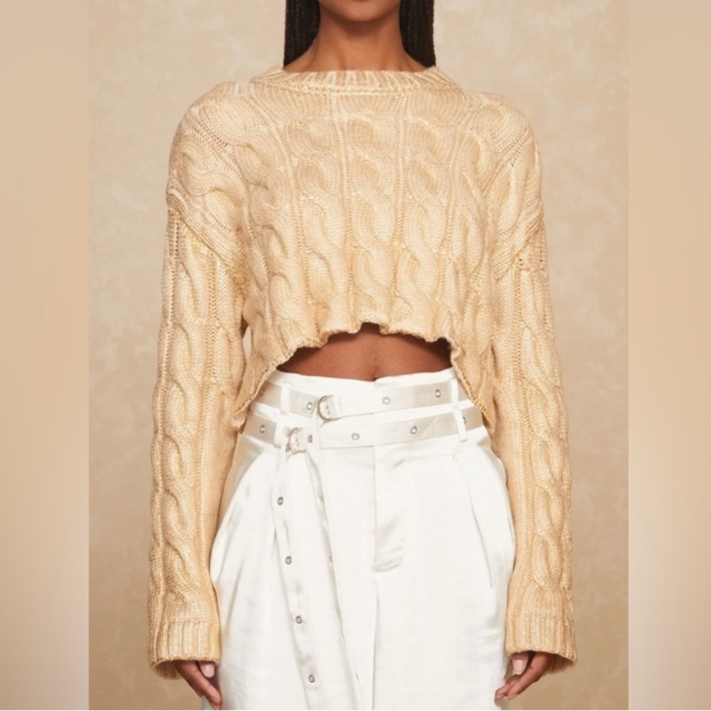 The Noli Shop Metallic Cropped Sweater